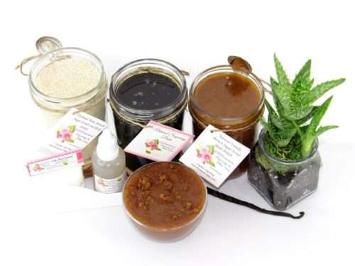 The bundle includes an 8 oz mason jar filled with firm sugaring paste, a jar of Vanilla Aloe Brown Sugar Body Scrub, and Colloidal Oatmeal Brown Sugar Dry Body Scrub, a small bottle of pure aloe vera, a pouch of cornstarch, an applicator, and a glass bowl showcasing the sugar scrub, garnished with a vanilla bean and a glass planter with an aloe plant to the right.