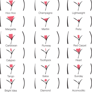 A png illustration of different styles of bikini lines such as heart, caribbean, diamond, runway, etc) on a transparent background.