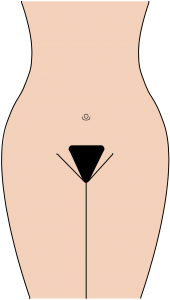 An illustration on a transparent background depicting a cartoon style woman's hourglass figure and an upside-down triangle for the bikini wax design.