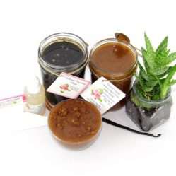 The bundle includes an 8 oz mason jar filled with firm sugaring paste, a jar of Vanilla Aloe Brown Sugar Body Scrub, a small bottle of pure aloe vera, a pouch of cornstarch, an applicator, and a glass bowl showcasing the sugar scrub, garnished with a vanilla bean and a glass planter with an aloe plant to the right.