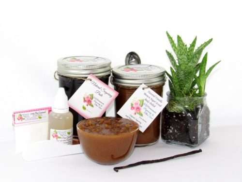 The bundle includes an 8 oz mason jar filled with firm sugaring paste, a jar of Vanilla Aloe Brown Sugar Body Scrub, a small bottle of pure aloe vera, a pouch of cornstarch, an applicator, and a glass bowl showcasing the sugar scrub, garnished with a vanilla bean and a glass planter with an aloe plant to the right.