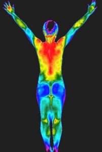 A thermographic image displays the human body with arms extended, highlighting the areas of varying temperatures, from the coolest to the warmest.