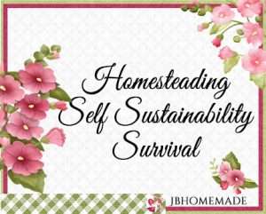 Hollyhock Logo for JBHomemade Sugaring and Skin Care with pink and green elements framing a title of ‘Homesteading Self Sustainability Survival'
