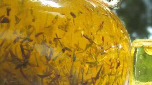 Ultra close-up view of thyme-infused sunflower oil, showcasing floating thyme pieces, a key ingredient in Thyme Sunflower Harmony Nourishing Thyme-Infused Sunflower & Aloe Facial Serum for acne.