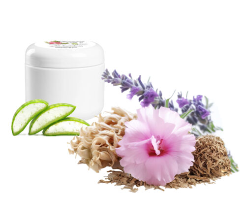 a jar of Lavender Hollyhock & Aloe Facial Mask | Natural Clay Facial Mask for Radiant Skin | Handcrafted with Garden-Fresh Ingredients | Hydrating 2 oz closeup view of a pink hollyhock atop a pile of marshmallow root, a sprig of lavender and 3 slices of aloe vera