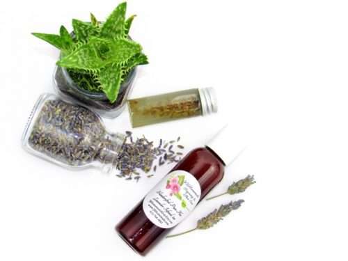 A 2 oz bottle of JBHomemade's handcrafted lavender-infused aloe vera, crafted with natural and homegrown lavender buds and aloe vera, is paired with an aloe vera plant. Alongside, a glass jar brimming with lavender buds spills over, and a small glass jar contains a sprig of lavender steeping in pure aloe vera, with two lavender sprigs resting to the right.