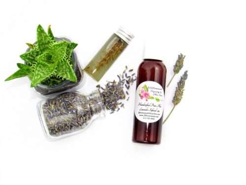 A 2 oz bottle of JBHomemade's handcrafted lavender-infused aloe vera, crafted with natural and homegrown lavender buds and aloe vera, is paired with an aloe vera plant. Alongside, a glass jar brimming with lavender buds spills over, and a small glass jar contains a sprig of lavender steeping in pure aloe vera, with two lavender sprigs resting to the right.