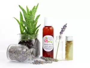 A 2 oz bottle of JBHomemade's handcrafted lavender-infused aloe vera, crafted with natural and homegrown lavender buds and aloe vera, is paired with an aloe vera plant. Alongside, a glass jar brimming with lavender buds spills over, and a small glass jar contains a sprig of lavender steeping in pure aloe vera, with two lavender sprigs resting to the right.