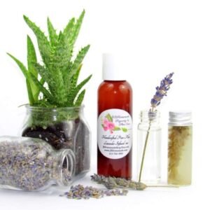 A 2 oz bottle of JBHomemade's handcrafted lavender-infused aloe vera, crafted with natural and homegrown lavender buds and aloe vera, is paired with an aloe vera plant. Alongside, a glass jar brimming with lavender buds spills over, and a small glass jar contains a sprig of lavender steeping in pure aloe vera, with two lavender sprigs resting to the right.