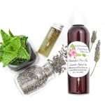 A 4 oz bottle of JBHomemade's handcrafted lavender-infused aloe vera, crafted with natural and homegrown lavender buds and aloe vera, is paired with an aloe vera plant. Alongside, a glass jar brimming with lavender buds spills over, and a small glass jar contains a sprig of lavender steeping in pure aloe vera, with two lavender sprigs resting to the right.