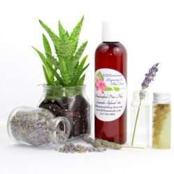 A 4 oz bottle of JBHomemade's handcrafted lavender-infused aloe vera, crafted with natural and homegrown lavender buds and aloe vera, is paired with an aloe vera plant. Alongside, a glass jar brimming with lavender buds spills over, and a small glass jar contains a sprig of lavender steeping in pure aloe vera, with two lavender sprigs resting to the right.