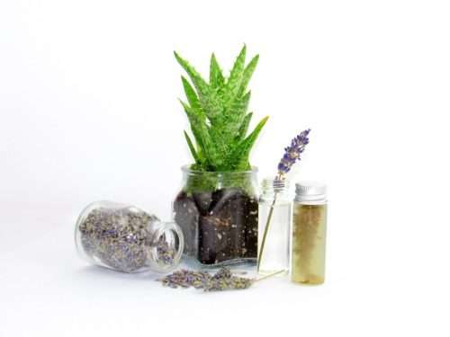 Front perspective view of organic ingredients including a clear glass planter with aloe vera planted in mushroom compost, spilled glass jar with lavender buds, another with lavender sprigs, and a jar showcasing lavender-infused aloe vera.