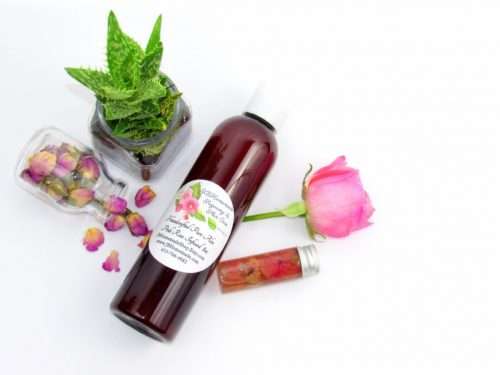 An overhead perspective of an 8 oz bottle of handcrafted Radiant Rose Glow: Pure Aloe Vera Infused with Pink Rose Petals with natural ingredients of pink rose petals and an aloe vera plant visible.
