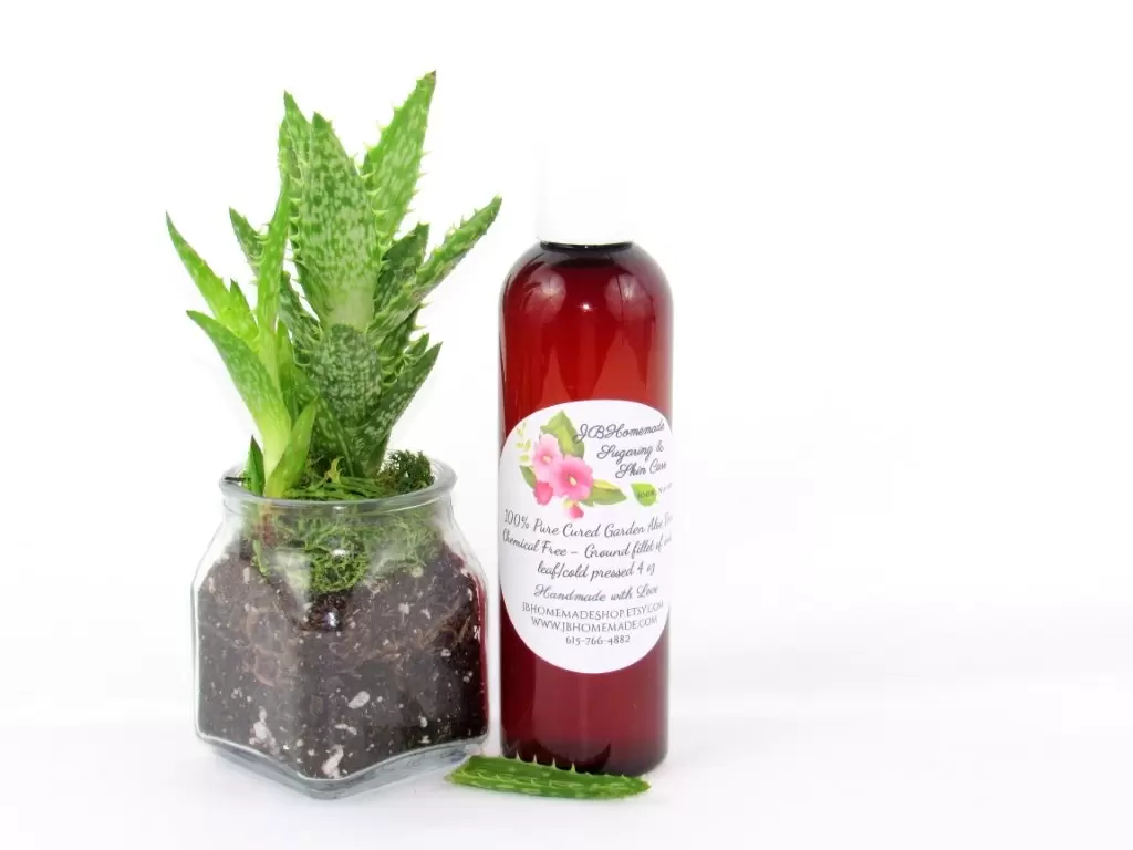 A 4 oz amber bottle of Pure Aloe Vera product, enriched and authentic, surrounded by fresh aloe vera leaf pieces, showcasing the natural ingredients and the premium quality of the product.