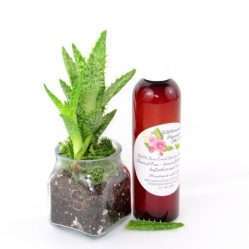 A 4 oz amber bottle of Pure Aloe Vera product, enriched and authentic, surrounded by fresh aloe vera leaf pieces, showcasing the natural ingredients and the premium quality of the product.