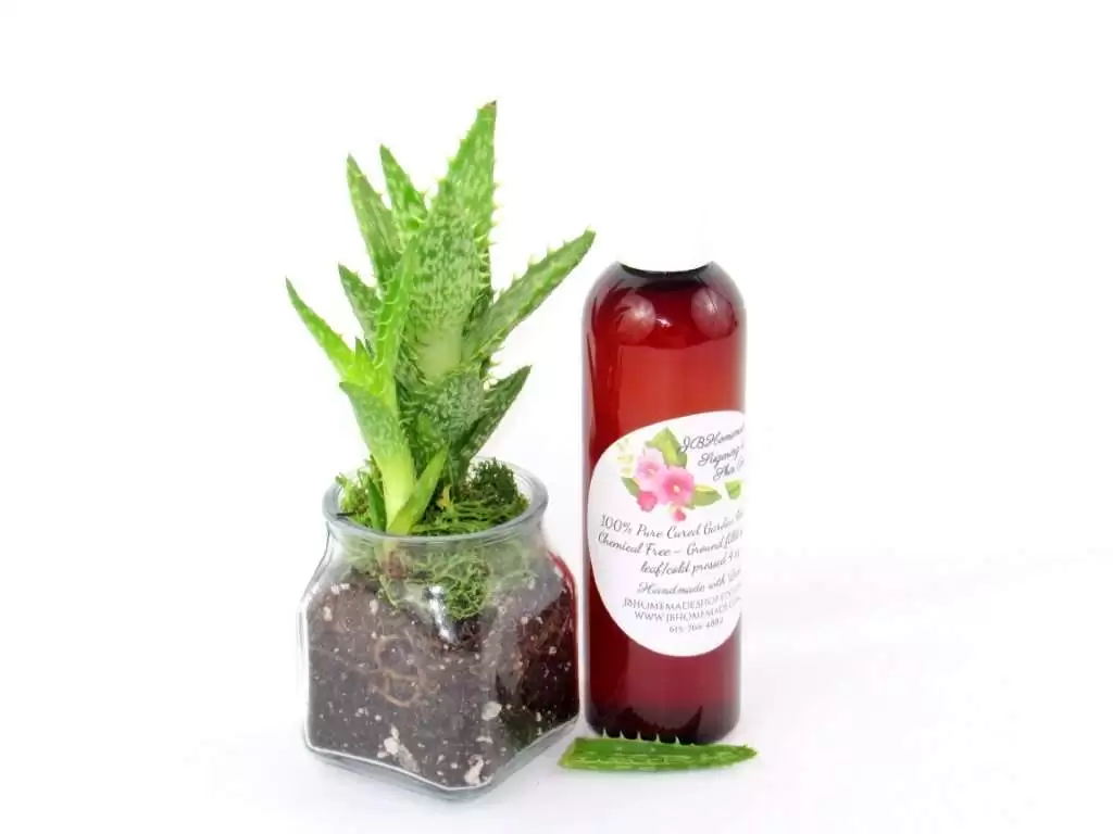 A 4 oz amber bottle of Pure Aloe Vera product, enriched and authentic, surrounded by fresh aloe vera leaf pieces, showcasing the natural ingredients and the premium quality of the product.