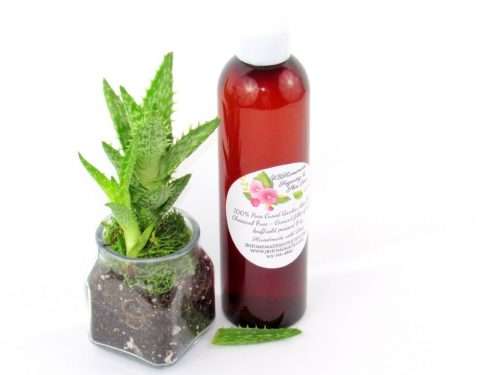 An 8 oz amber bottle of Pure Aloe Vera product, enriched and authentic, surrounded by fresh aloe vera leaf pieces, showcasing the natural ingredients and the premium quality of the product.