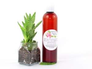 An 8 oz amber bottle of Pure Aloe Vera product, enriched and authentic, surrounded by fresh aloe vera leaf pieces, showcasing the natural ingredients and the premium quality of the product.
