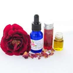 An aesthetically composed image capturing ‘Rose the Age Away’ serum amidst blossoming roses and golden avocado oil.