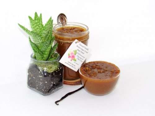 Discover the soothing blend of vanilla and aloe vera in an abundant 8 oz container of brown sugar scrub. The glass jar is prominently displayed at the center, accompanied by a glass bowl to the right, showcasing the scrub's rich texture. A whole vanilla bean rests in front of the jar, while to the left, an aloe plant thrives in a transparent glass planter filled with natural mushroom compost, its roots visible through the glass.