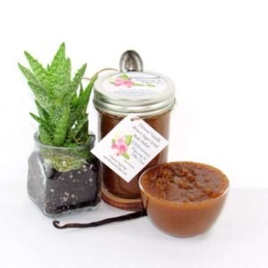 Discover the soothing blend of vanilla and aloe vera in an abundant 8 oz container of brown sugar scrub. The glass jar is prominently displayed at the center, accompanied by a glass bowl to the right, showcasing the scrub's rich texture. A whole vanilla bean rests in front of the jar, while to the left, an aloe plant thrives in a transparent glass planter filled with natural mushroom compost, its roots visible through the glass.