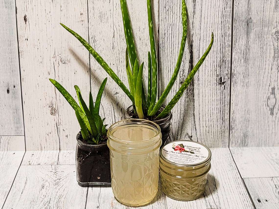Pure aloe vera gel in open jar, closed jar with label beside it. Potted aloe plants in front, on grey wooden background.
