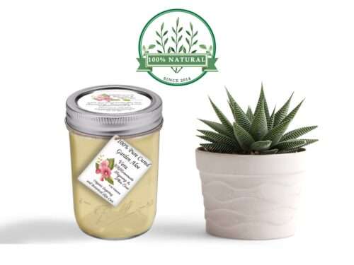 Pure Aloe Vera Gel in 8oz Mason Jar: Fresh skincare product next to a small potted plant