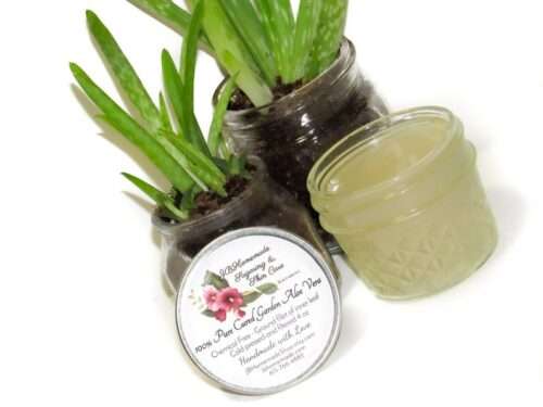 Pure Aloe Vera Gel in 4 oz Mason Jar: Fresh skincare product next to a small potted plant
