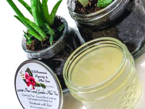 Pure Aloe Vera Gel in 4 oz Mason Jar: Fresh skincare product next to a small potted plant