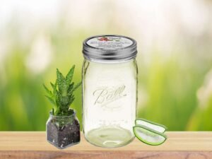 Pure Aloe Vera Gel in Quart Size Jar: Fresh and natural skincare product.