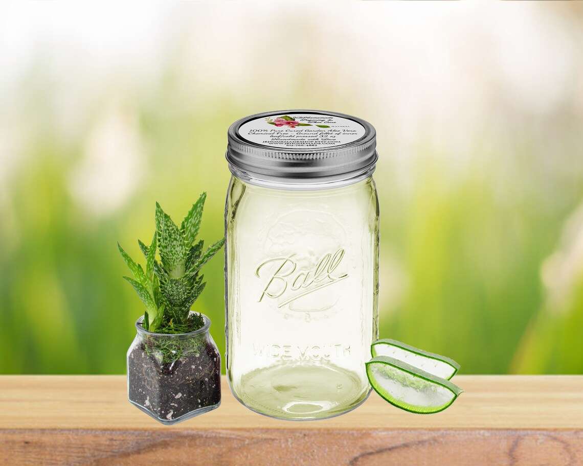 Pure Aloe Vera Gel in Quart Size Jar: Fresh and natural skincare product.
