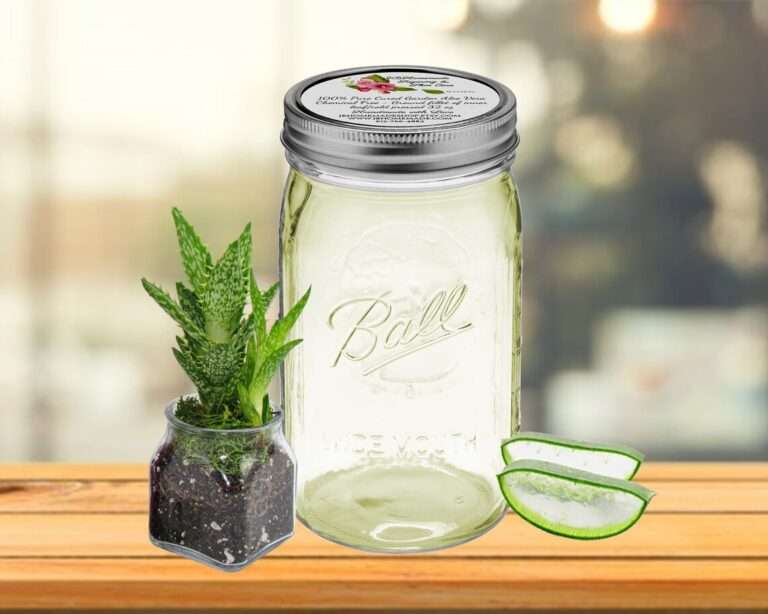 Pure Aloe Vera Gel in Quart Size Jar: Fresh and natural skincare product.