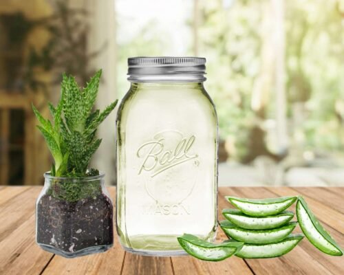 Pure Aloe Vera Gel in Quart Size Jar: Fresh and natural skincare product.