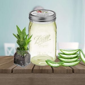 Pure Aloe Vera Gel in Quart Size Jar: Fresh and natural skincare product.