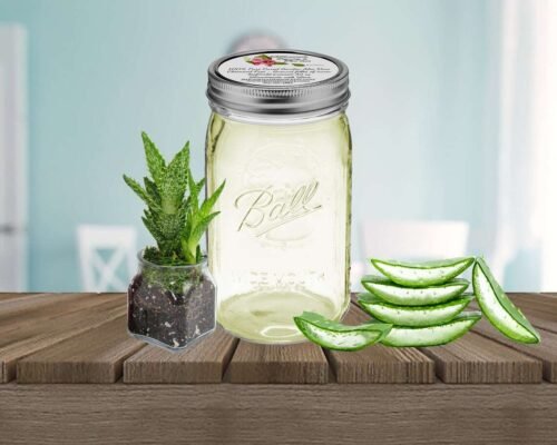 Pure Aloe Vera Gel in Quart Size Jar: Fresh and natural skincare product.