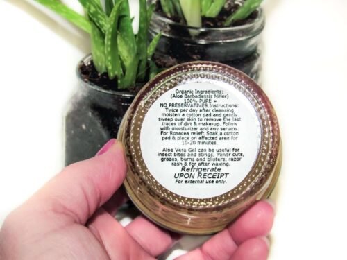 Organic Aloe Vera Gel Product: Hand holding a container with detailed usage instructions, near potted plants.