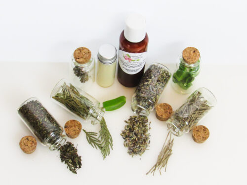 Top View of an all-natural facial cleanser in an amber bottle surrounded by six small, corked glass bottles containing sprinkles of pine, cedarwood, spearmint, and lavender ingredients. A clear glass bottle showcases the face wash’s color and texture.