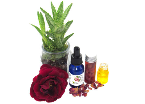 An overhead view angled to the left, showcasing the cobalt blue bottle of Grace and Presence Rose and Chamomile Facial Serum. Surrounding the bottle are natural ingredients: aloe vera leaves, rose petals, and chamomile-infused grapeseed oil.